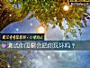 《測試你<i>閨蜜</i>會把你玩壞嗎？》测试