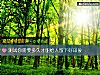 《測試你需要<i>多久</i>才能給人留下好印象》测试