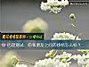 《心理測試：你和<i>朋友</i>之間的感情怎麼樣？》测试