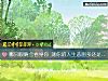 《哪只眼睛會看穿你 測你的<i>人生</i>悲劇多還是喜劇多》测试