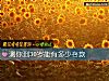 《測你到30歲能有多少存款》测试