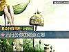 《六月份你的財源在哪》测试