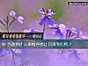 《當<i>遇到</i>什麼事情容易讓你感到心慌？》测试