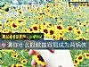 《測你<i>什麼時候</i>最容易成爲背鍋俠》测试