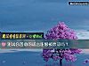 《測試你善意的謊言能夠被原諒嗎？》测试