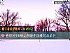 《看你9月<i>愛情</i>運勢能不能桃花朵朵開》测试