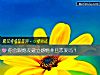 《你會跟炮友建立<i>感情</i>並且戀愛嗎？》测试