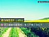 《對于<i>婚姻</i>你能做到一輩子無愧于心嗎？》测试