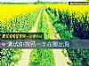《測試你的<i>另一半</i>在哪出現》测试