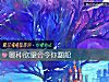 《哪種欲望會令你翻船》测试