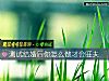 《測試結<i>婚後</i>你怎麼做才會旺夫》测试