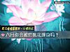 《八月你會被爛<i>桃花</i>纏身嗎？》测试