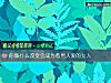 《你做什麼改變會成爲惹<i>男人</i>愛的女人》测试