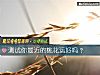《測試你最近的<i>桃花運</i>好嗎？》测试
