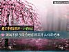 《測試不擇手段會給你帶來什麼樣的<i>結果</i>》测试