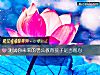 《測試你未來的<i>老公</i>教育孩子是否耐心》测试