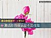 《測試你的<i>命運</i>是不是很差》测试