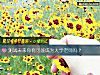 《測試未來你有可能成爲大學老師嗎？》测试