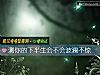 《測你的<i>下半生</i>會不會波瀾不驚》测试