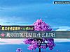 《測你的<i>桃花</i>劫在什麼時期》测试