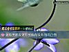 《測你男朋友寵你到底<i>有沒有</i>別的企圖》测试