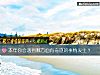 《本年你會<i>遇到</i>哪方面有奇迹的事情發生？》测试