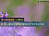 《測一測面對愛情的<i>背叛</i>你會等待愛是離開》测试