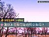 《測你本年有可能<i>感情</i>受挫嗎？》测试