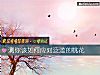 《測你該如何應對泛濫的<i>桃花</i>》测试