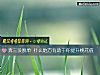 《奔三沒脫單 什麼地方有助于你<i>提升</i>桃花值》测试