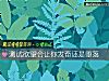《測試<i>欲望</i>會讓你發奮還是墮落》测试