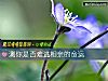 《測你是否難逃相親的<i>命運</i>》测试