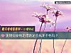 《測明知<i>愛情</i>走錯路還會執迷不悟嗎？》测试