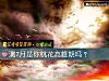 《測7月是你<i>桃花</i>高峰期嗎？》测试