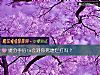 《提<i>分手</i>後ta會對你死纏爛打嗎？》测试