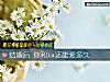 《結<i>婚後</i> 你和ta還能愛多久》测试