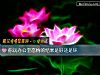 《你玩辦公室戀情的<i>結果</i>是好還是壞》测试