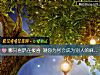 《哪只喜鵲在報喜 測你爲何會成爲別人的<i>麻煩</i>製造機》测试