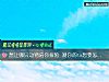 《想讓哪只動物陪你探險 測你的ta想要怎樣的<i>愛情</i>》测试