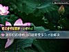 《測你們的<i>感情</i>出問題需要多久才能解決》测试