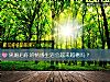 《離<i>婚後</i>你的情感生活會越來越糟嗎？》测试