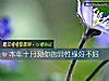 《本年十月測你的異性緣好不好》测试