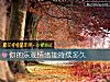 《你的樂觀情緒能持續<i>多久</i>》测试