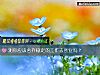 《測你應該舍棄穩定的工作去創業嗎？》测试
