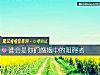 《誰會是你們<i>婚姻</i>中的阻礙者》测试