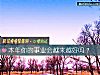 《本年你的事業會越來越好嗎？》测试
