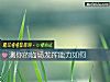 《測你的臨場發揮<i>能力</i>如何》测试