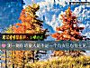 《測一測你的<i>愛人</i>是不是一個有責任心有主見的人》测试