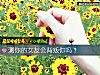 《測你的女友會<i>背叛</i>你嗎？》测试