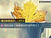 《測你的廚藝能夠撩到男神的胃嗎？》测试